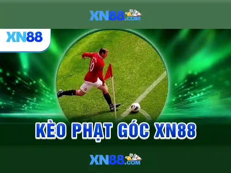Thông tin chi tiết về sản phẩm và dịch vụ