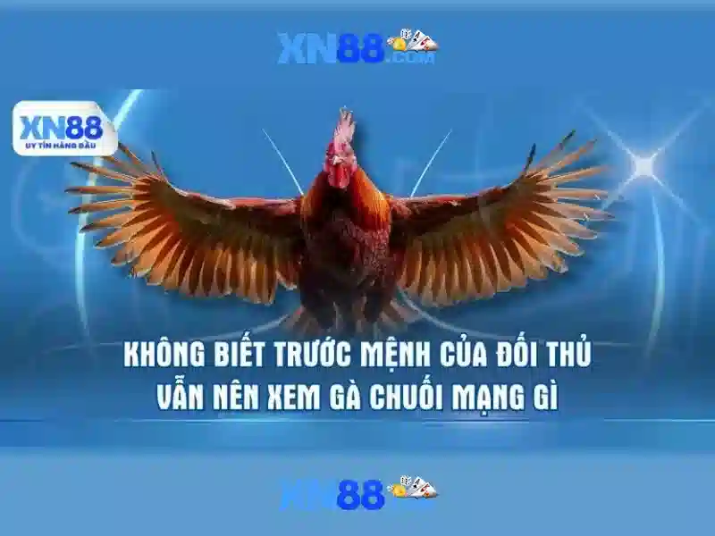Hướng dẫn bắt đầu và mẹo chơi hiệu quả