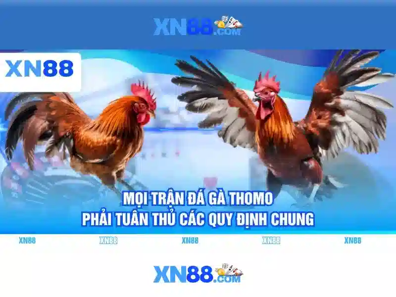 Minh_hoa_thuoc_tom_tat_bao_mat