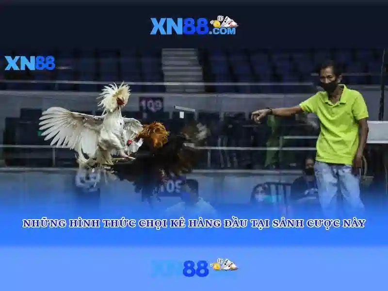 Các trò chơi và tính năng
