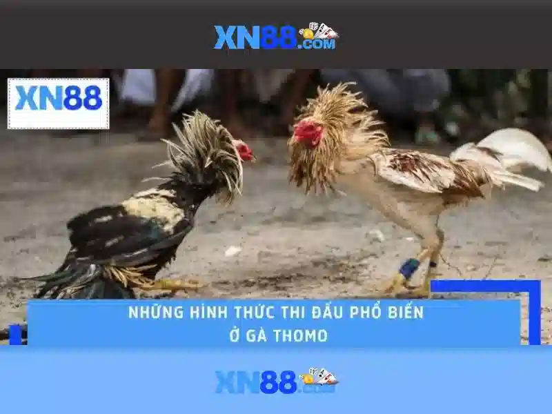 Nguồn gốc và sứ mệnh