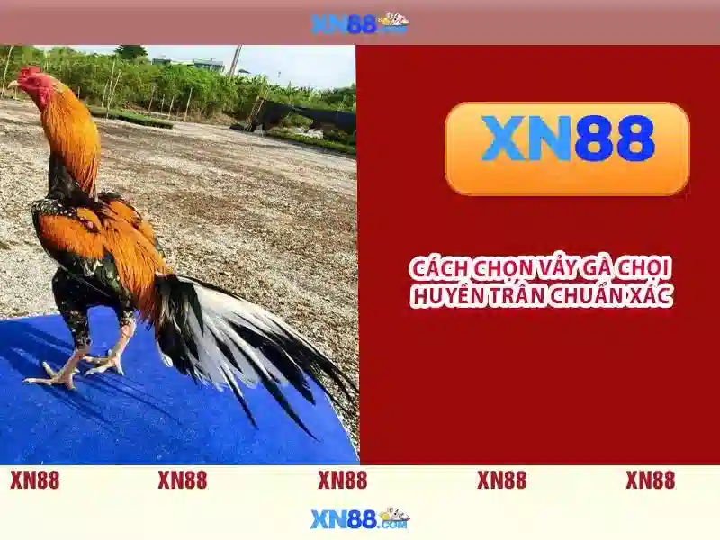 An toàn và bảo mật khi dùng xn88