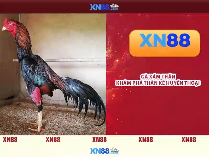 Các tính năng chính