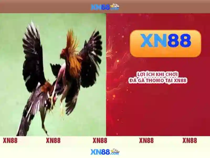 Nguồn gốc và tầm nhìn