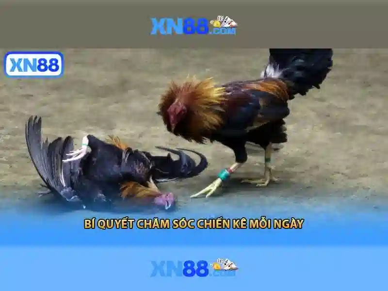 An toàn và bảo mật