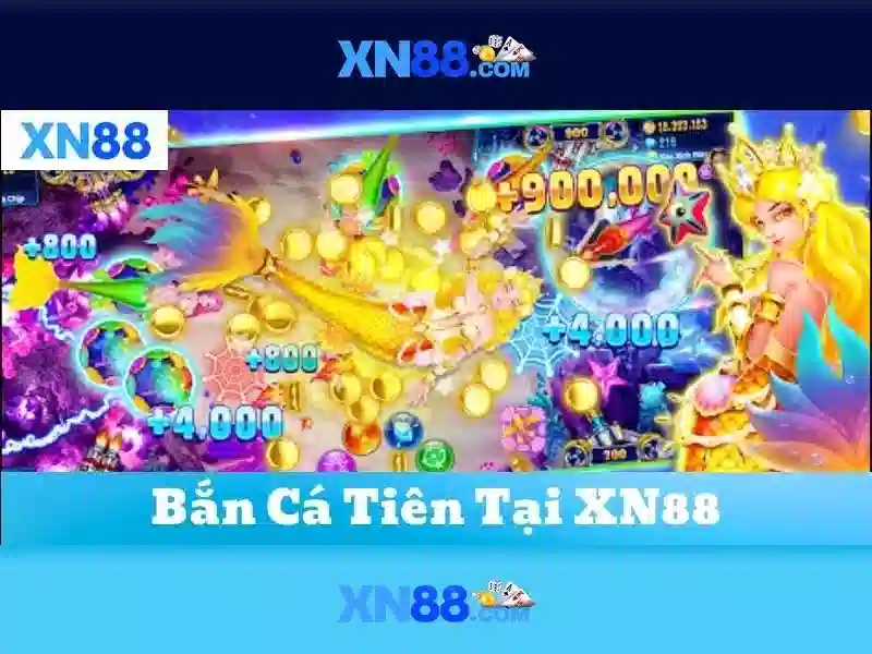 Lịch sử và phát triển 
