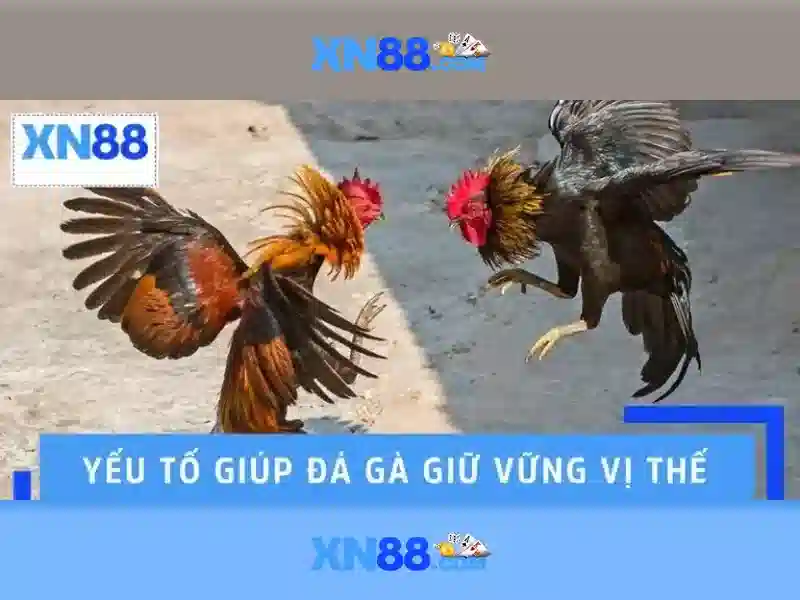 Nguồn gốc và bối cảnh