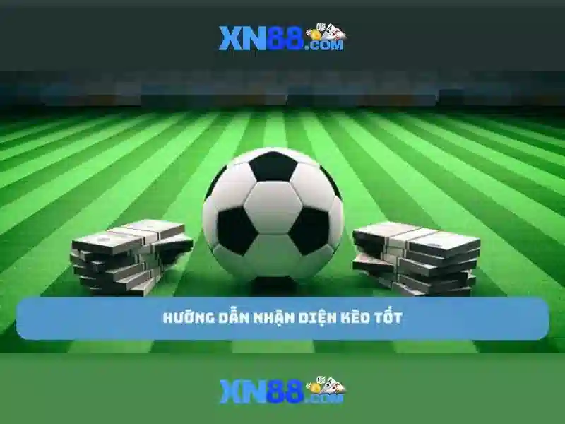 Các sản phẩm và dịch vụ của xn88