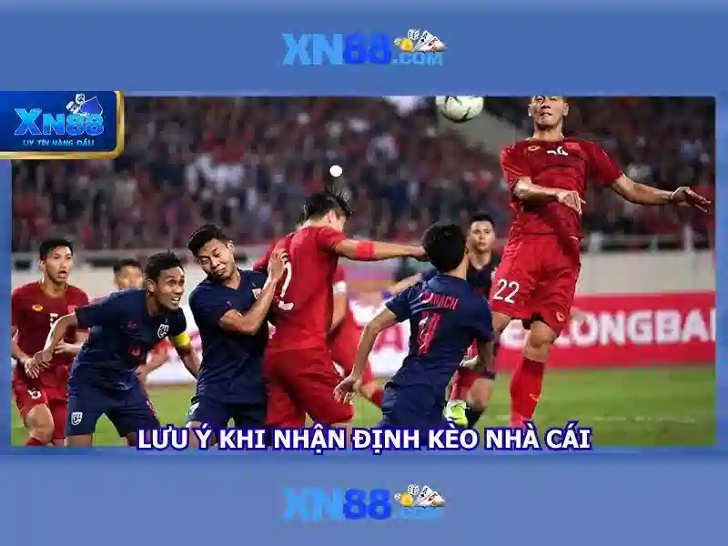 Khuyến cáo và lưu ý cho người dùng