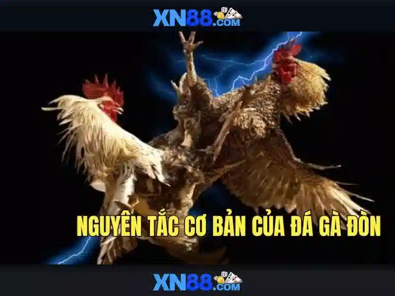 Giới thiệu về xn88
