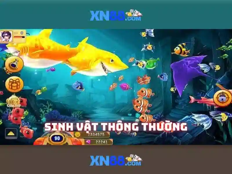 Giới thiệu về xn88
