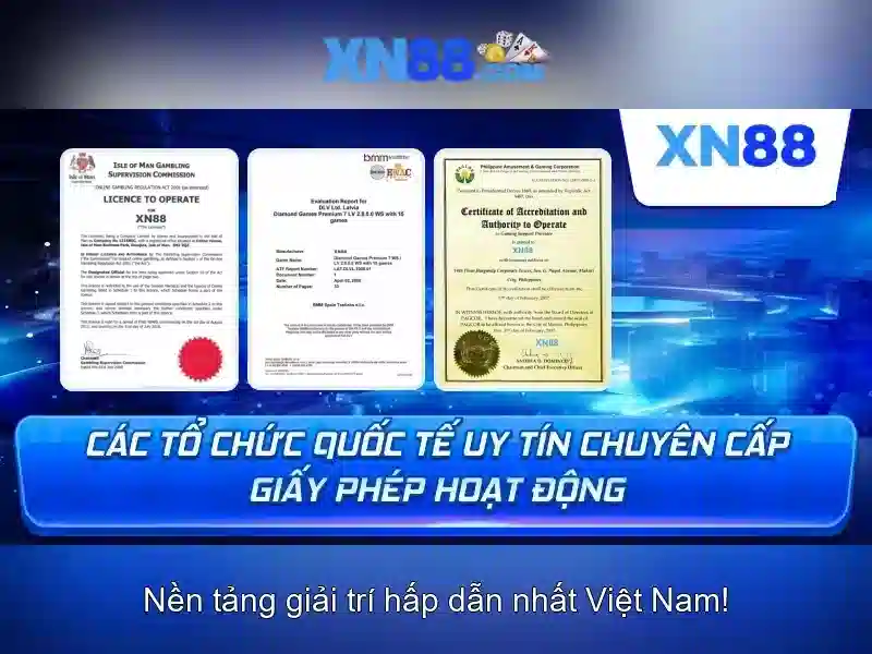 Lịch sử và nguồn gốc