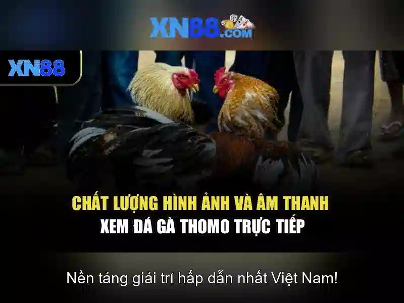 An toàn và quyền riêng tư