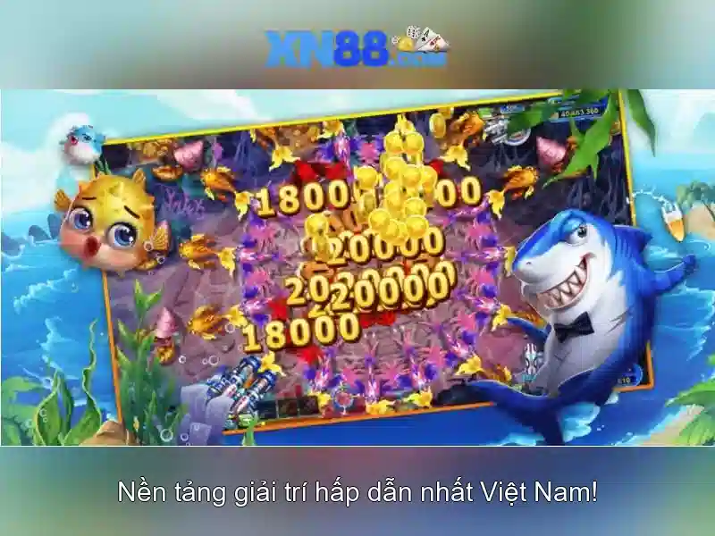 Các dịch vụ và trải nghiệm người dùng