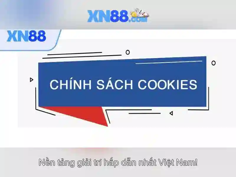 Giới thiệu về xn88