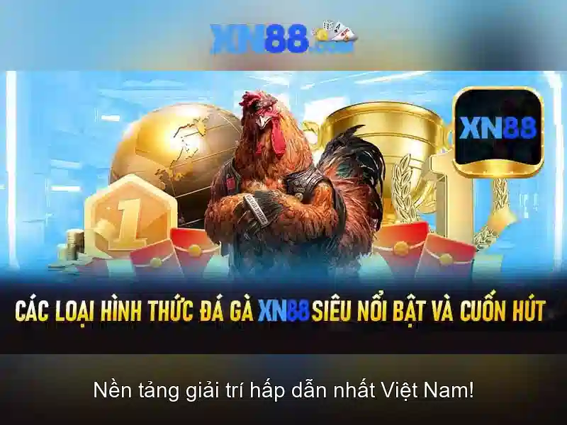 Lịch sử và nguồn gốc