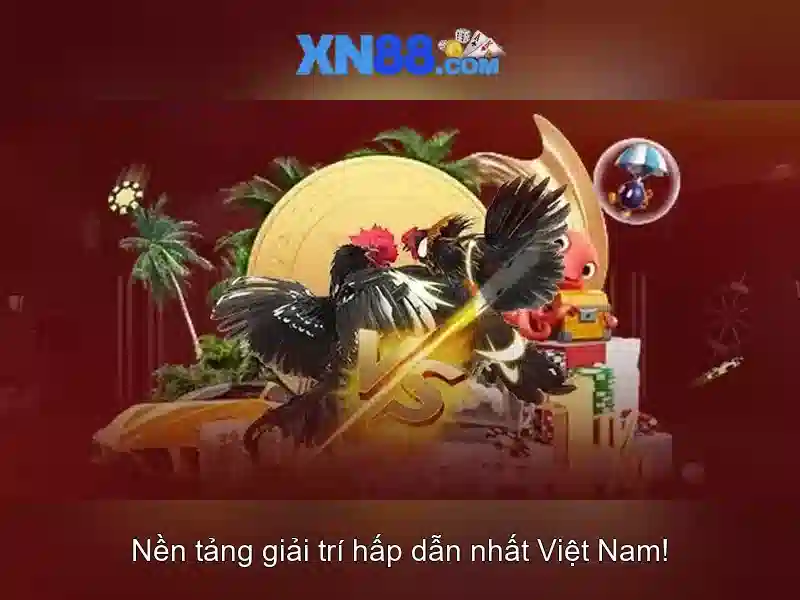 Hỗ trợ khách hàng