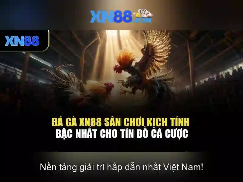 Cách tham gia và đăng ký