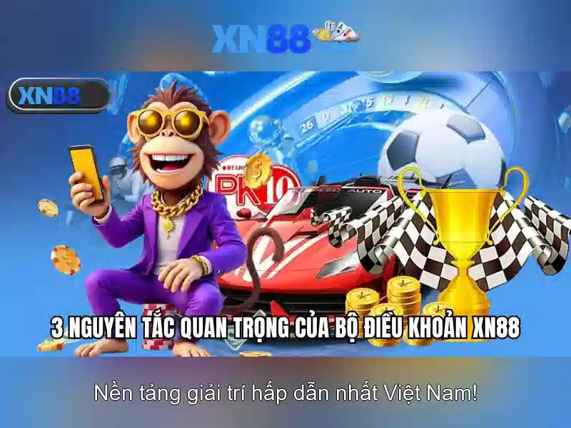 Lịch sử và nguồn gốc của XN88