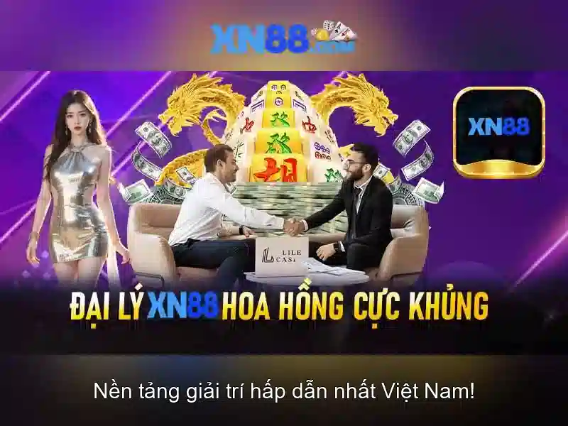 Điểm nổi bật và tương lai