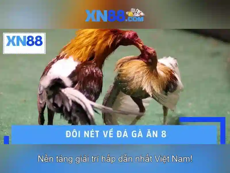 Tính năng nổi bật