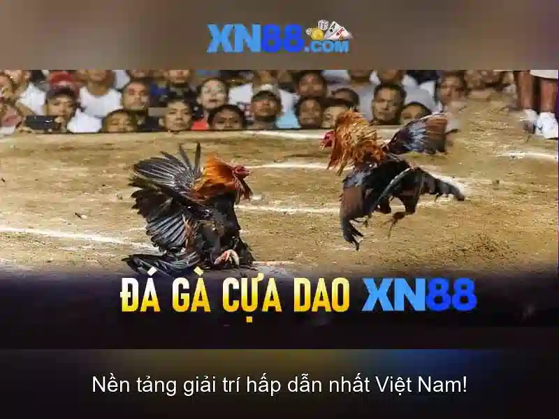 Giới thiệu về xn88