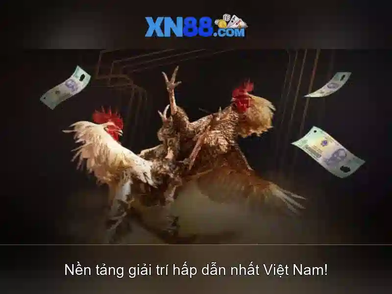 An toàn và bảo mật