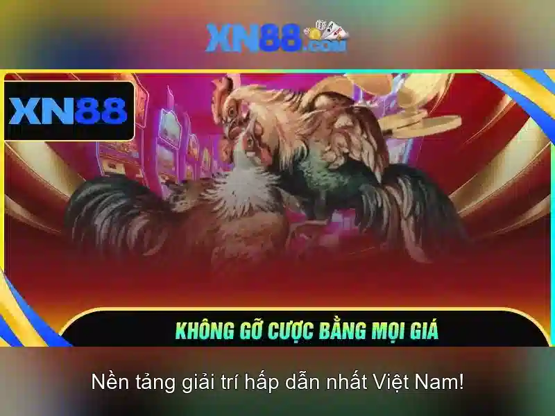 Hỗ trợ khách hàng xn88