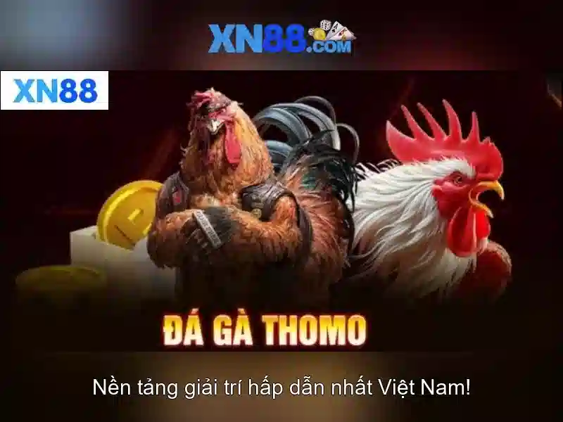 Giới thiệu về XN88