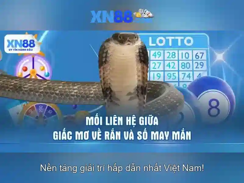 xn88 la mot nen tang ca cuoc truc tuyen