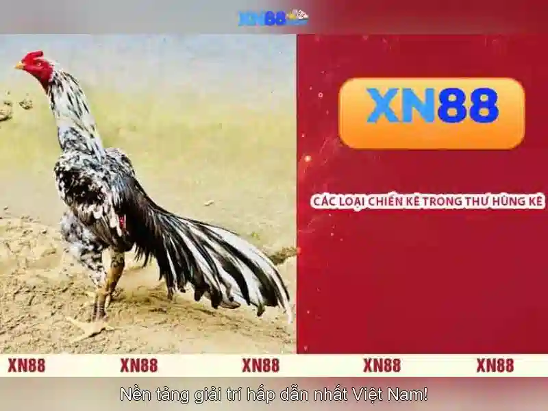 Giới thiệu về xn88