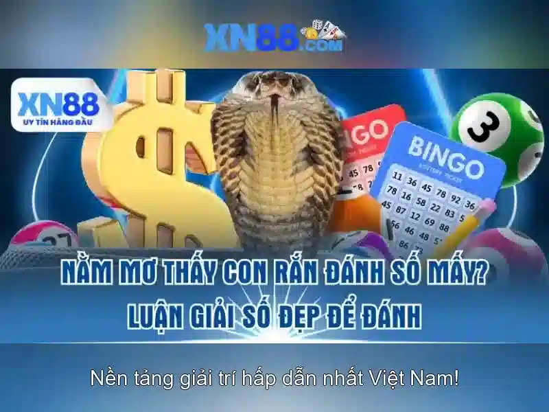 Trò chơi và khuyến mãi