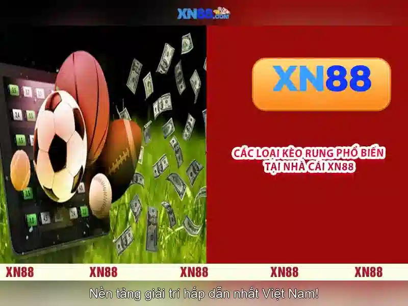 Giới thiệu về xn88