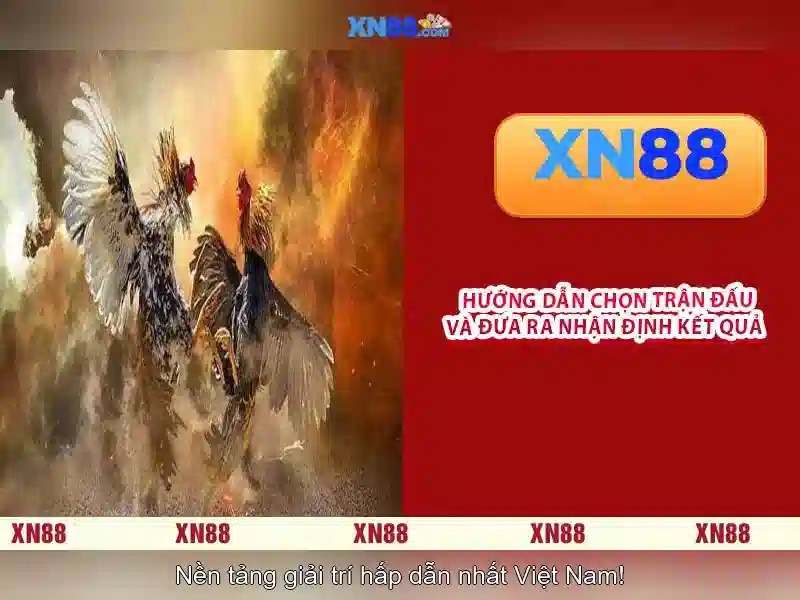 Hướng dẫn đăng ký và bắt đầu chơi