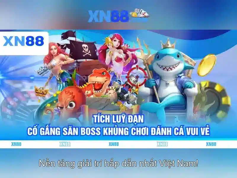 Các tính năng chính