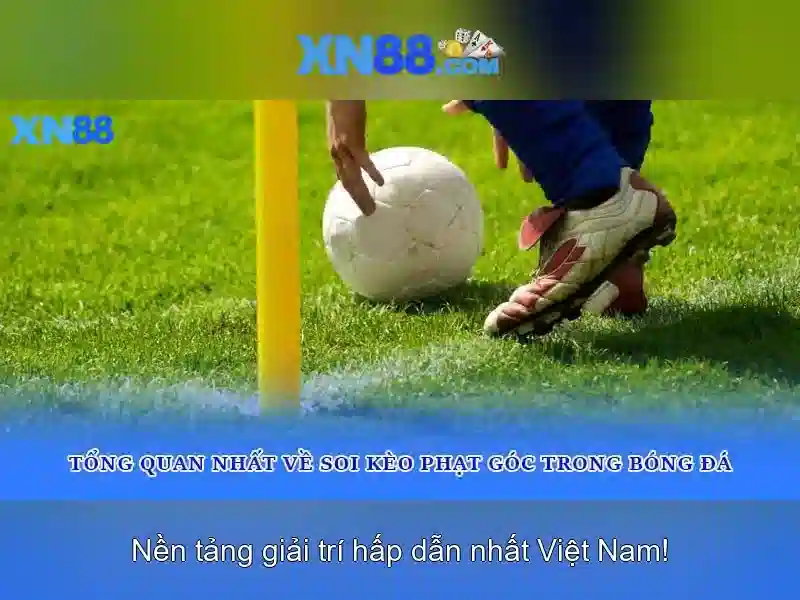 Hướng dẫn tham gia và thanh toán