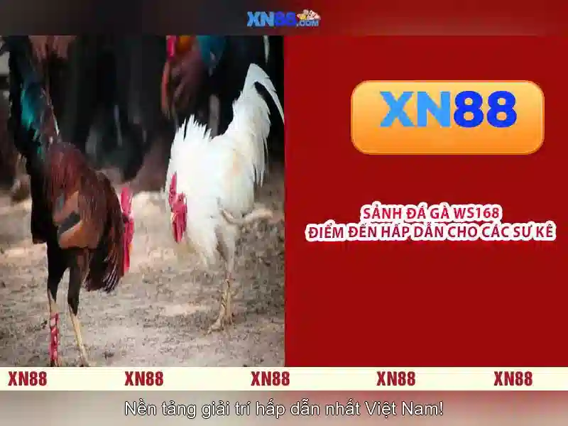 Trải nghiệm người dùng và các trò chơi