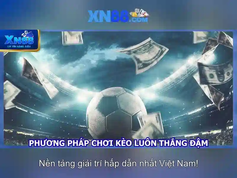 xn88 là gì?