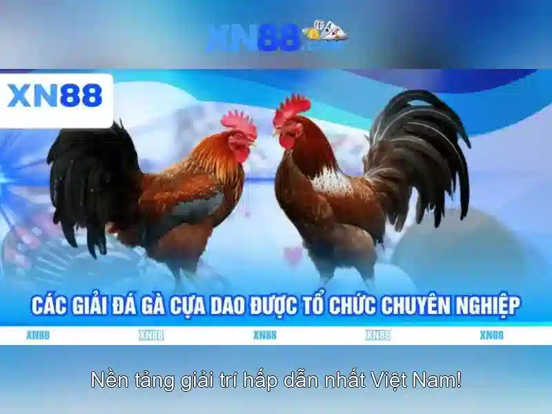 Các trò chơi có sẵn