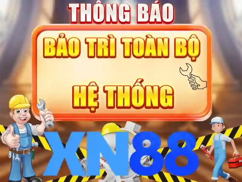 An toàn và trách nhiệm khi tham gia